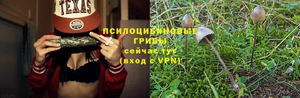 спиды Баксан