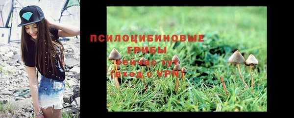 ECSTASY Белоозёрский