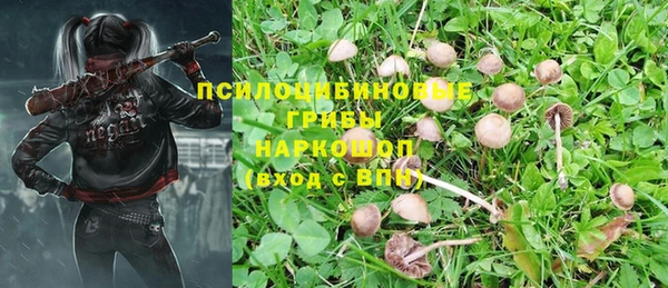 первитин Саяногорск
