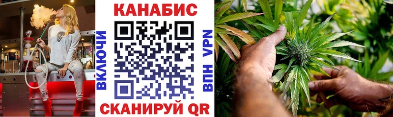Каннабис гибрид Рудня